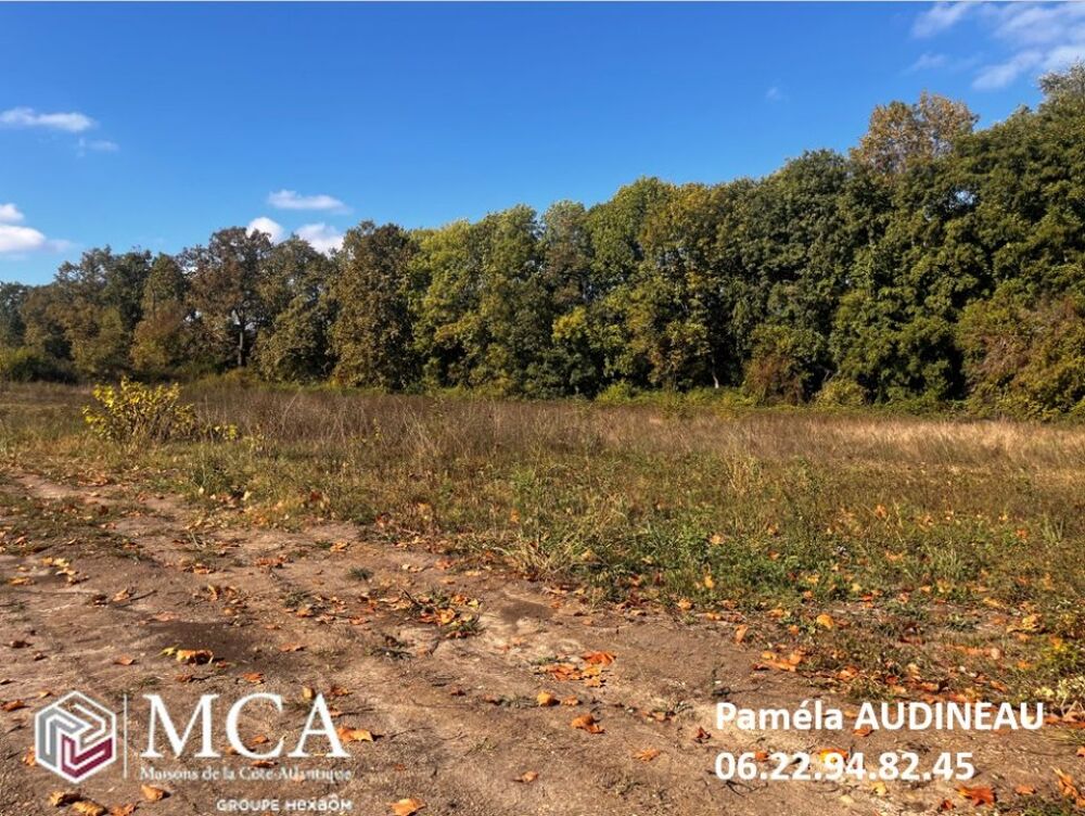 vente Terrain - 1030 m² Martillac (33650)