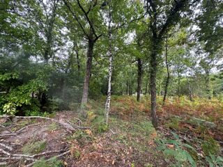  Terrain à vendre 2019 m²