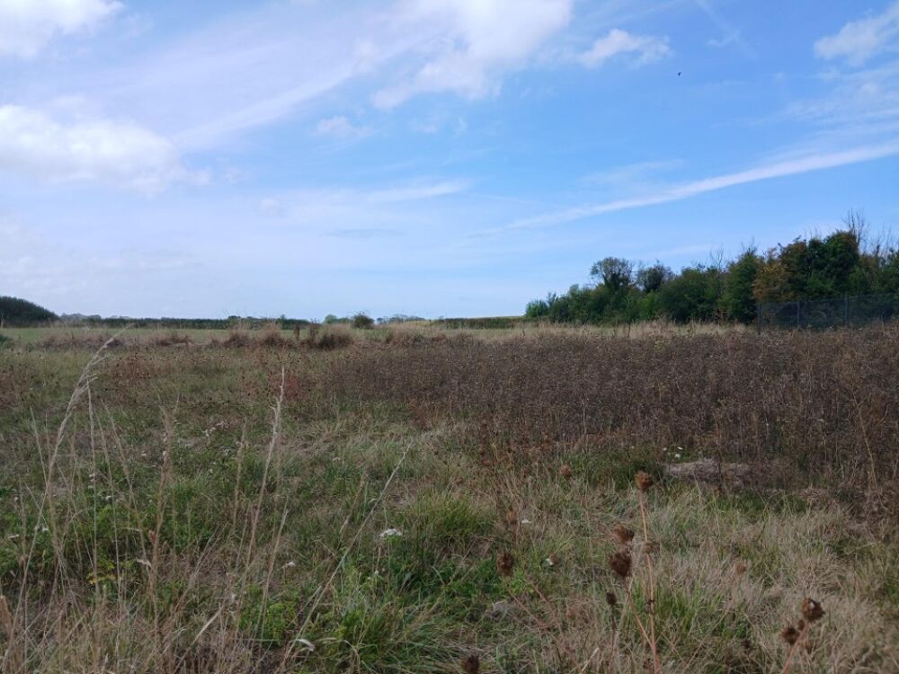 vente Terrain - 450 m² Longues-sur-Mer (14400)