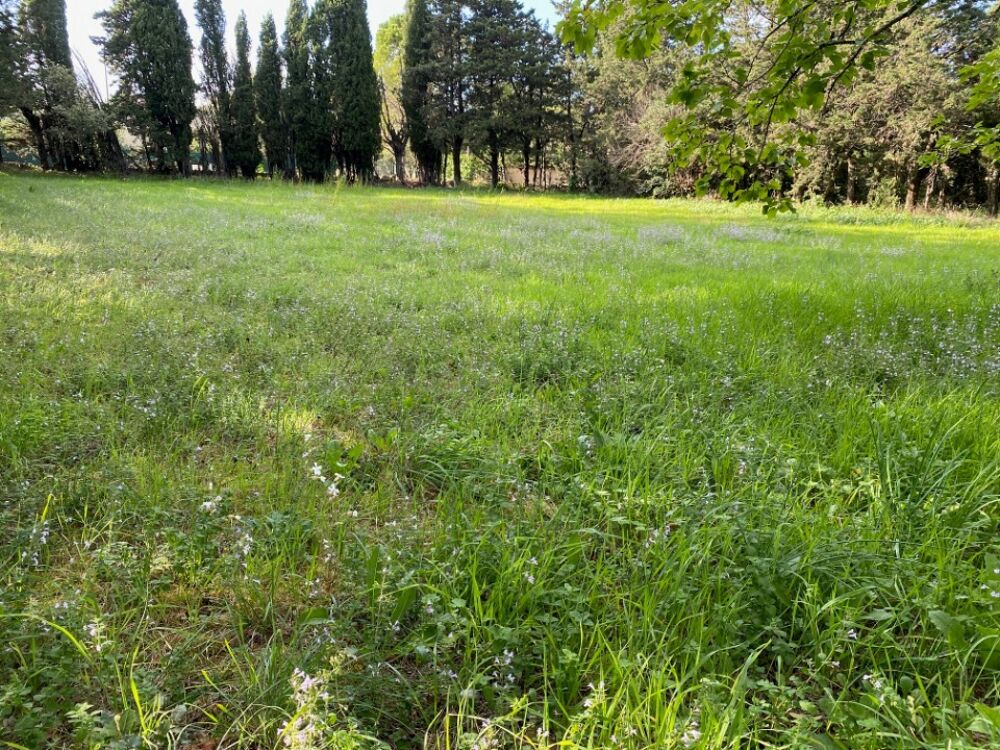 vente Terrain - 802 m² Grillon (84600)