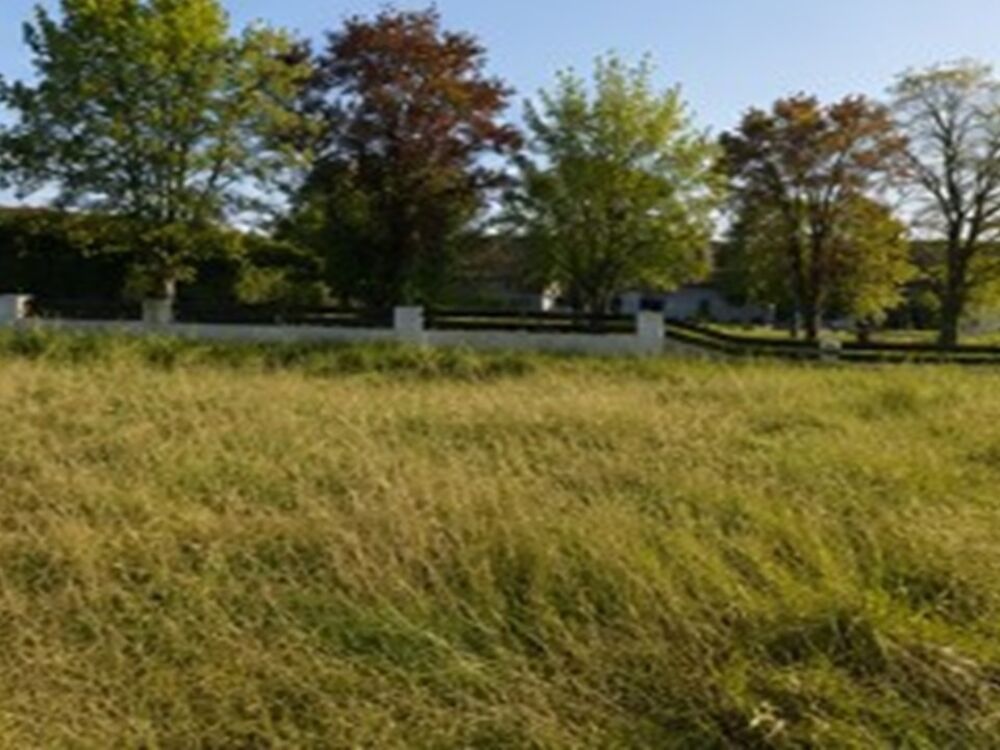 vente Terrain - 416 m² Périssac (33240)