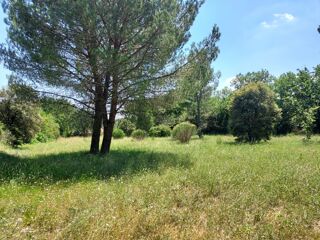 vente Terrain - 1165 m² Gonfaron (83590)
