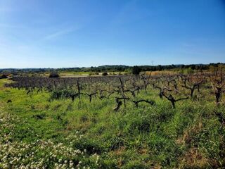  Terrain � vendre 361 m�