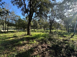  Maison 6 pi�ces 200 m� Le plan-de-la-tour