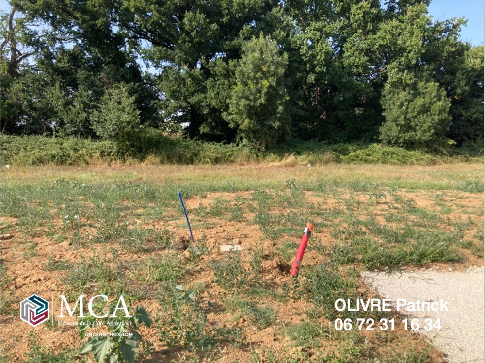 vente Terrain - 444 m² Corme-Royal (17600)