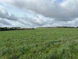  Terrain à vendre 560 m²