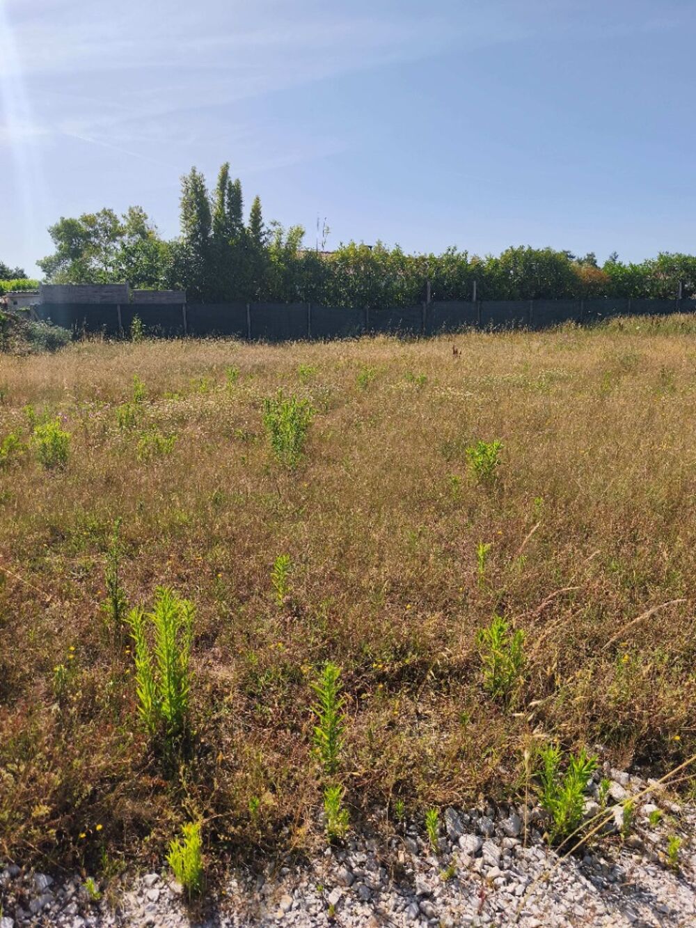 vente Terrain - 252 m² Vaux-sur-Mer (17640)