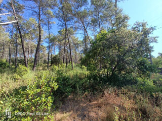  Terrain � vendre 1201 m�