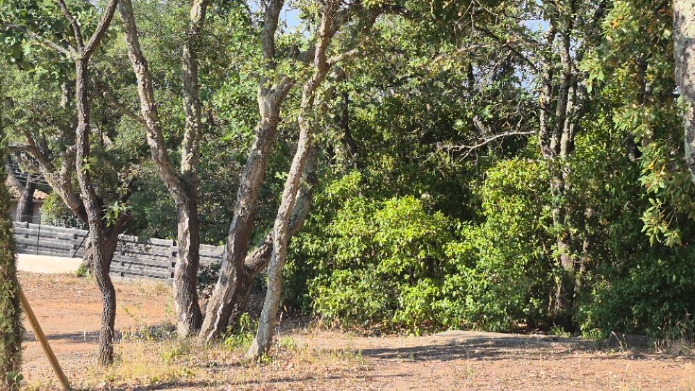 vente Terrain - 1050 m² Saint-Raphaël (83700)