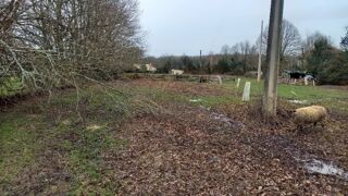  Terrain à vendre 2500 m²