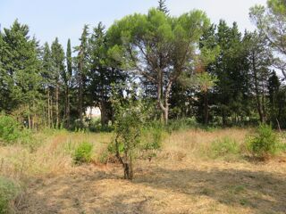  Terrain  vendre 350 m