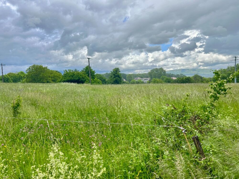 vente Terrain - 590 m² Corbonod (01420)