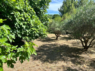  Terrain à vendre 300 m²