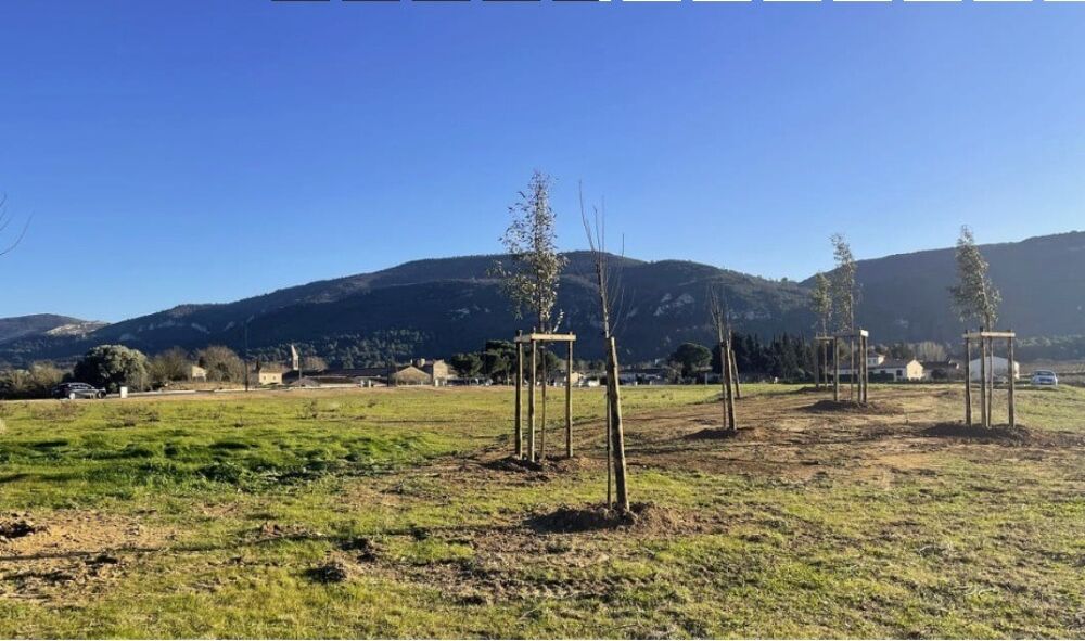 vente Maison - 6 pièce(s) - 140 m² Floure (11800)