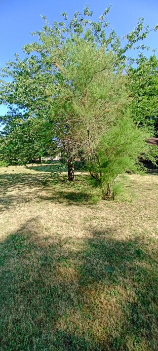  Maison � vendre 6 pi�ces 140 m�