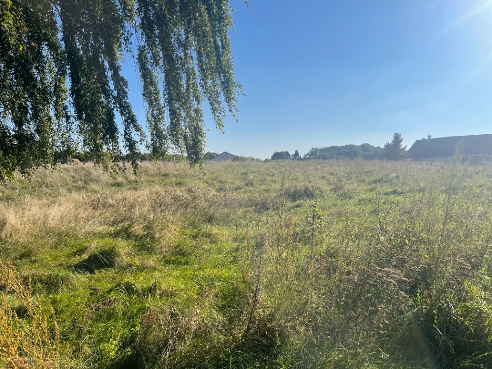 vente Maison - 5 pièce(s) - 120 m² Vaucourtois (77580)