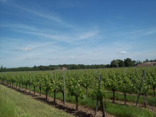  Terrain � vendre 500 m�