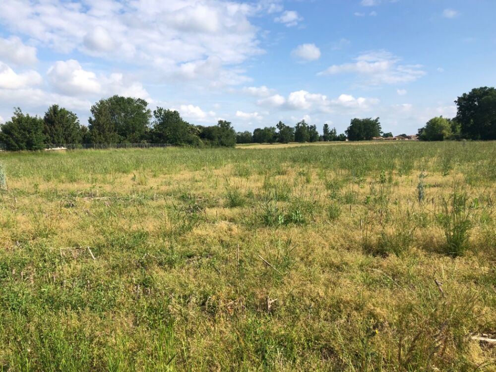 vente Terrain - 480 m² Bâgé-le-Châtel (01380)