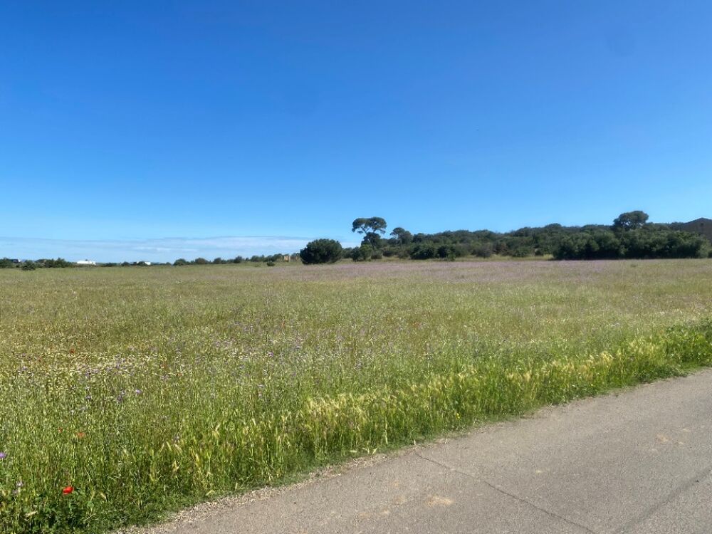 vente Terrain - 454 m² Bessan (34550)
