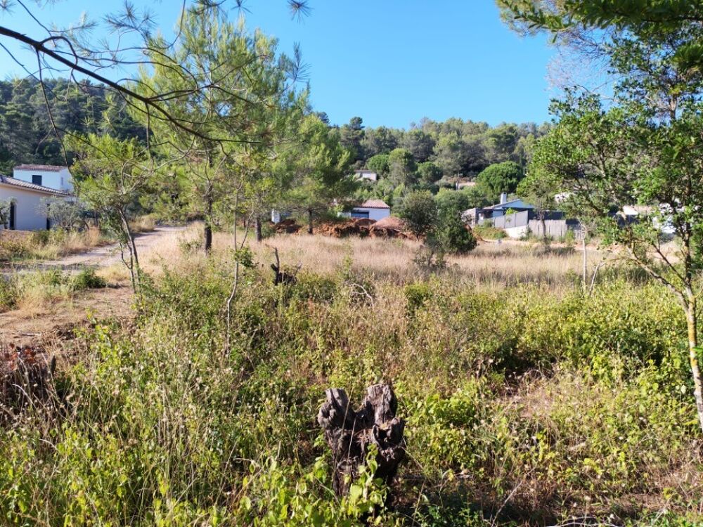 vente Terrain - 810 m² Camps-la-Source (83170)