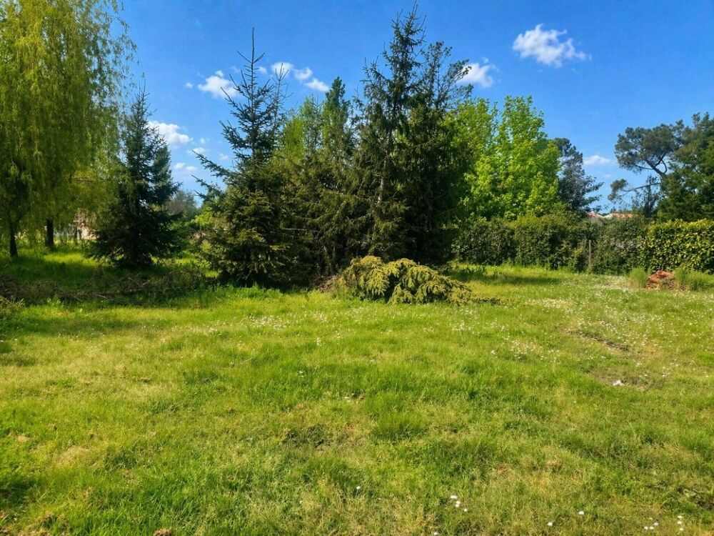 vente Terrain - 1000 m² Lesparre-Médoc (33340)