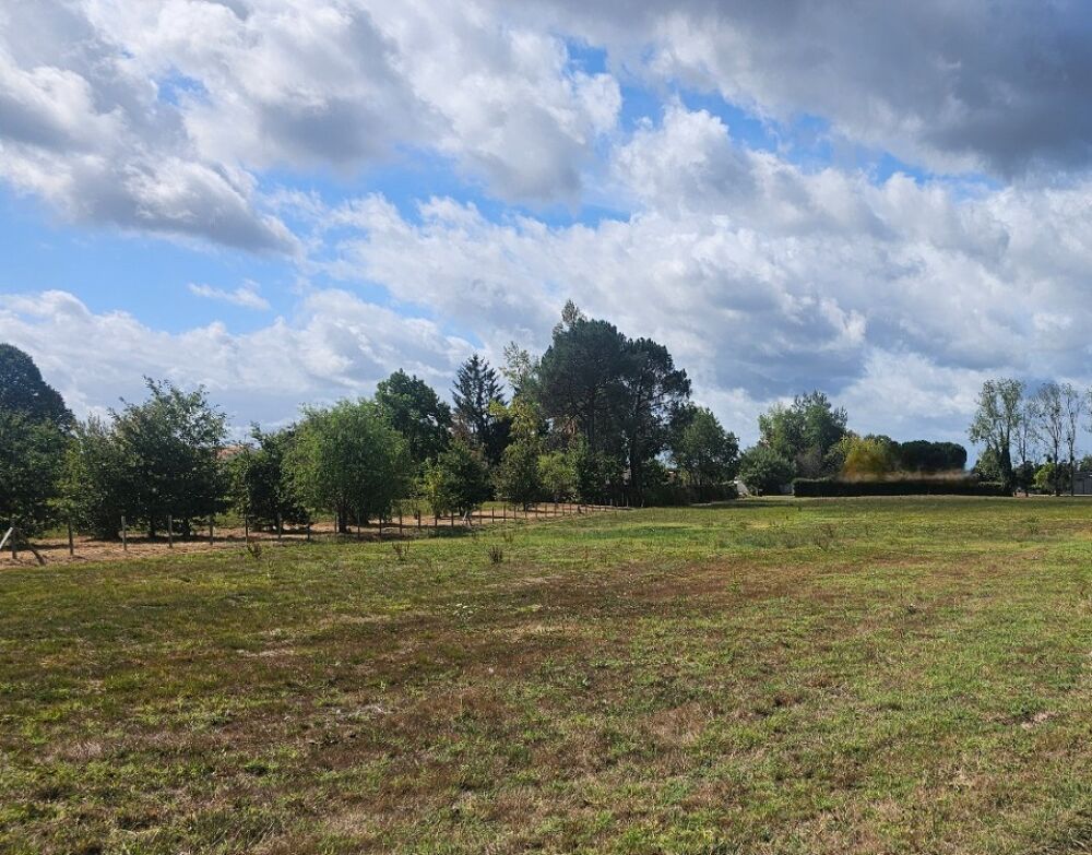 vente Terrain - 7100 m² Saint-Selve (33650)