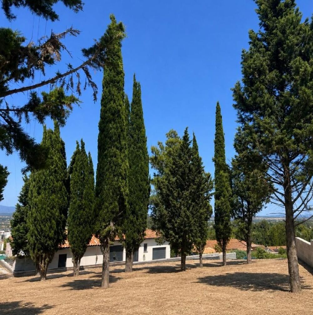 vente Maison - 6 pièce(s) - 180 m² Carcassonne (11000)