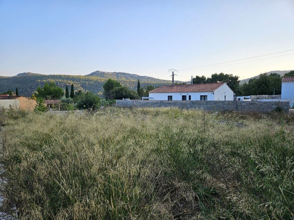 vente Terrain - 695 m² Cuges-les-Pins (13780)
