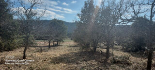 vente Maison - 4 pièce(s) - 73 m² Sabran (30200)