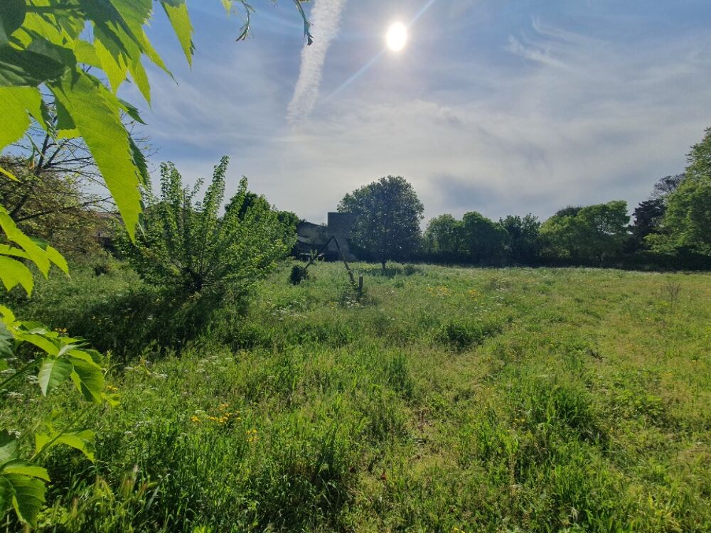 vente Maison - 4 pièce(s) - 88 m² Vergèze (30310)