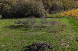  Maison � vendre 6 pi�ces 132 m�