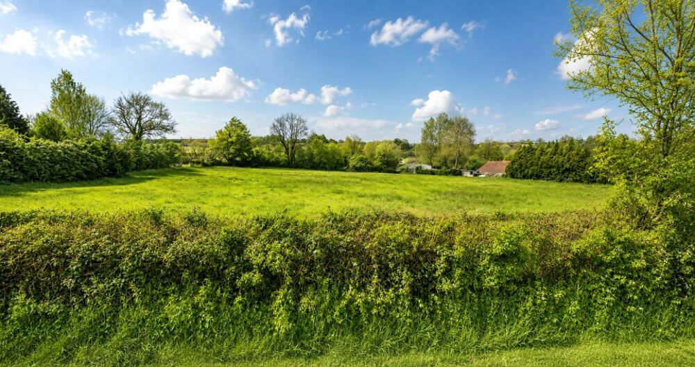 vente Maison - 5 pièce(s) - 95 m² Compainville (76440)