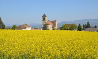  Terrain  vendre 1330 m