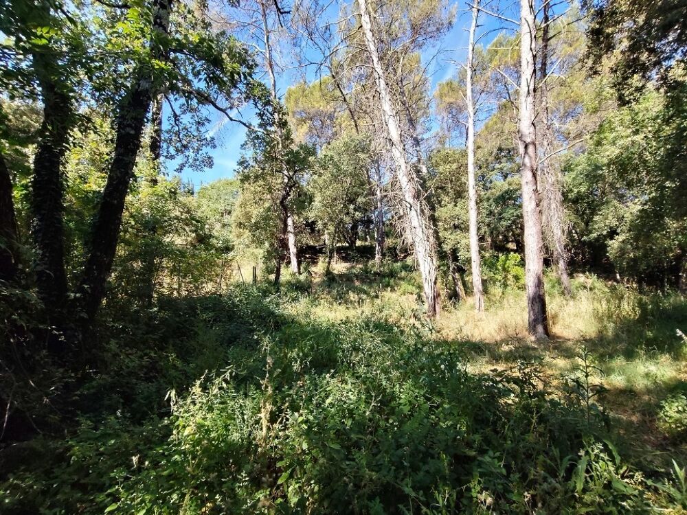 vente Maison - 4 pièce(s) - 143 m² Lorgues (83510)