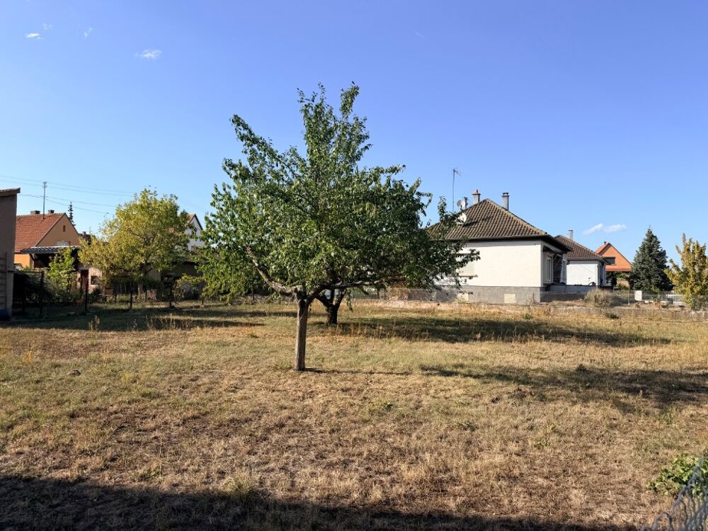 vente Maison - 5 pièce(s) - 140 m² Sélestat (67600)