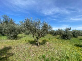  Terrain 672 m� Sainte-tulle