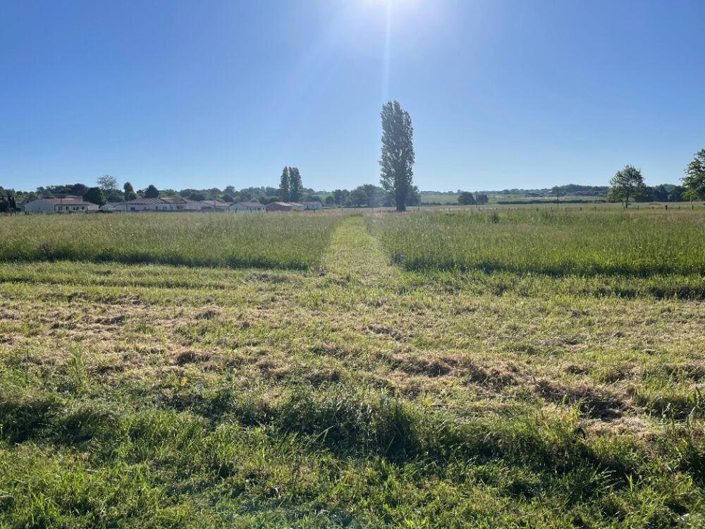 vente Terrain - 1200 m² Saint-Ciers-de-Canesse (33710)
