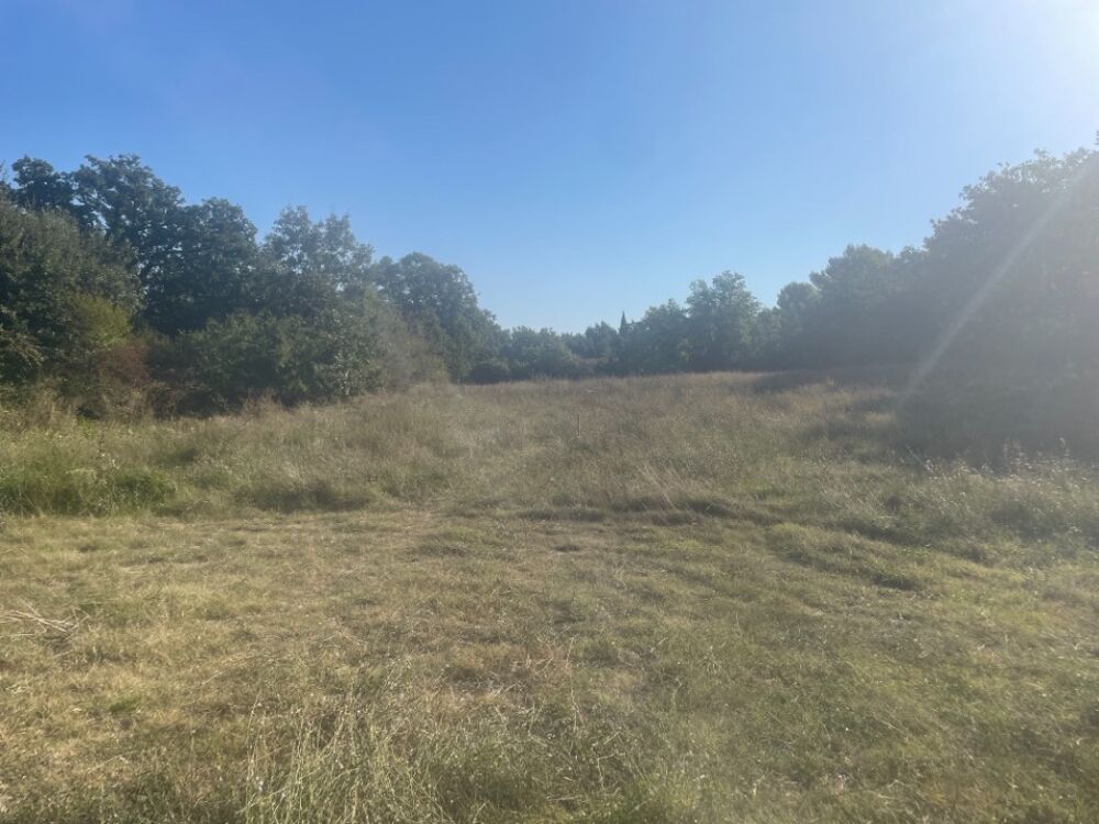 vente Terrain - 1000 m² Alleins (13980)