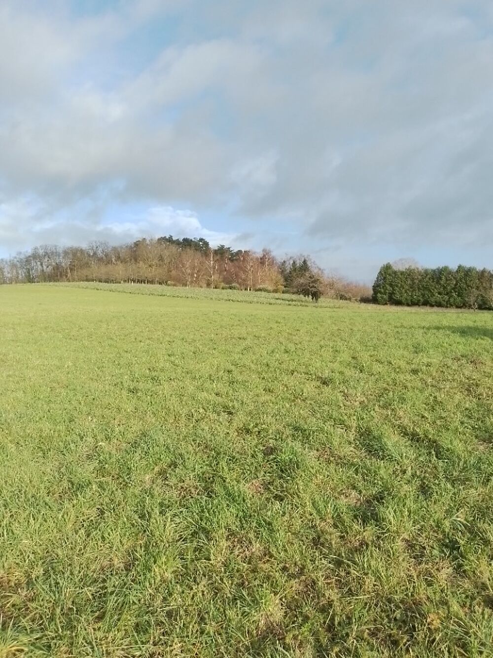 vente Maison - 6 pi�ce(s) - 89 m� Lassigny (60310)