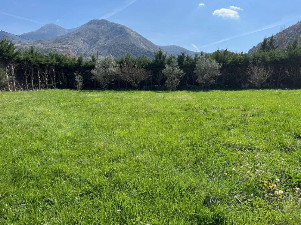vente Terrain - 1231 m² Condorcet (26110)