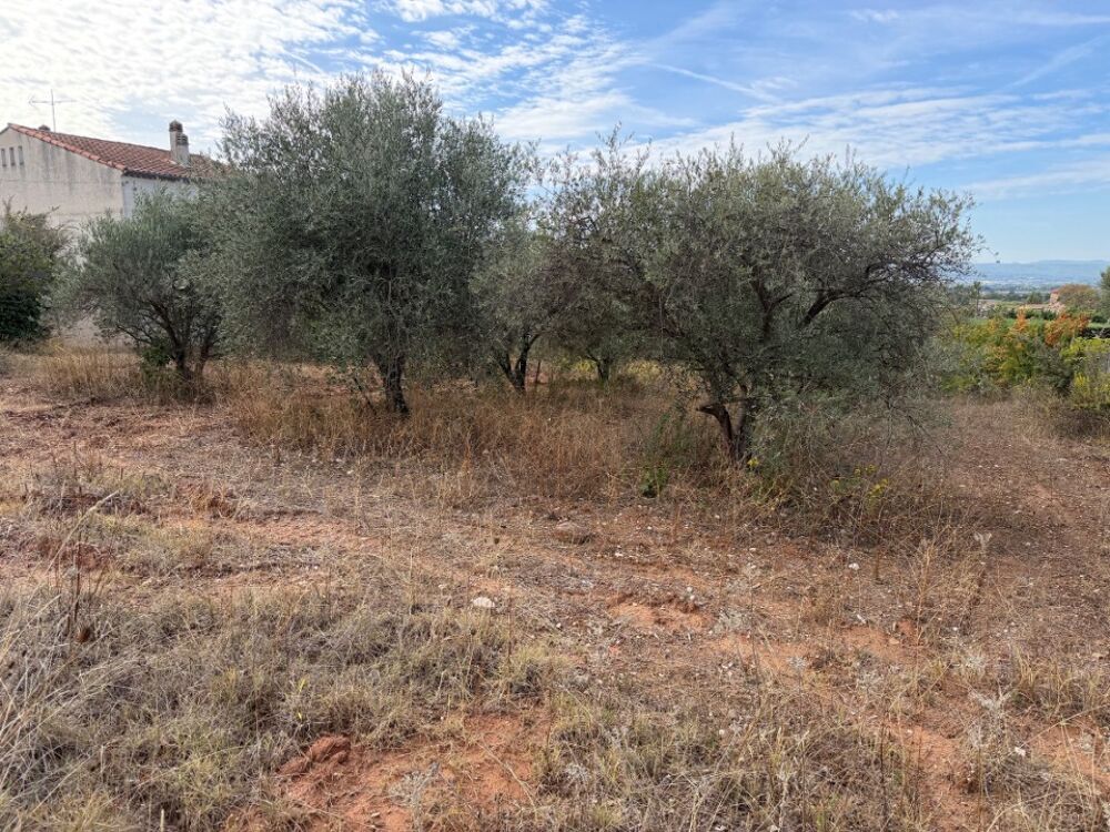 vente Terrain - 446 m² Pourrières (83910)
