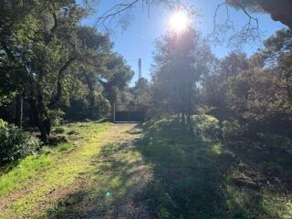  Terrain � vendre 505 m�