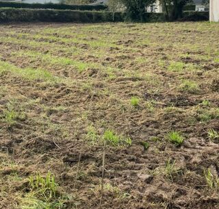  Terrain  vendre 1300 m