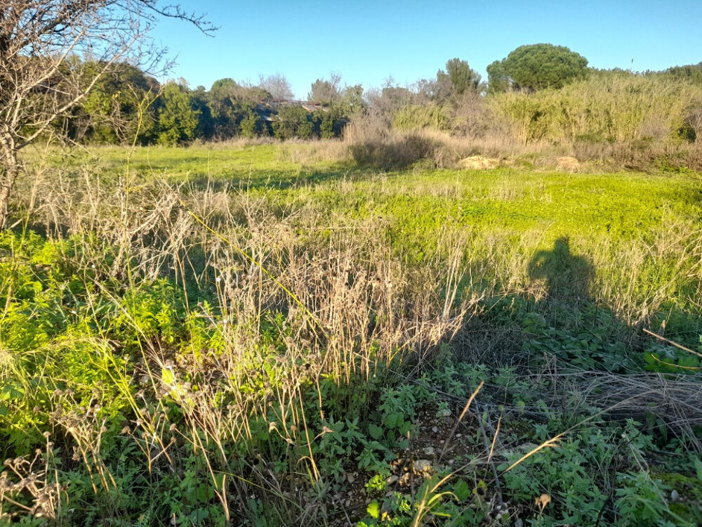 vente Terrain - 795 m² Solliès-Pont (83210)