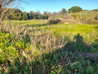  Terrain à vendre 795 m²