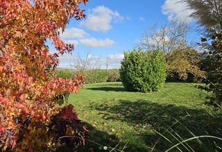  Terrain 1205 m� Ch�tenay