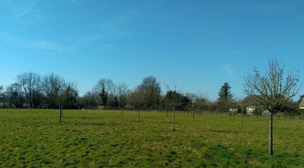 vente Maison - 4 pièce(s) - 141 m² Heuland (14430)
