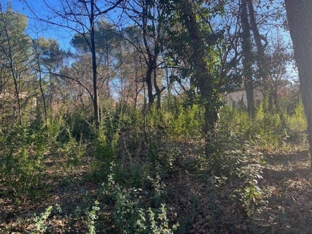 vente Terrain - 800 m² Gréasque (13850)