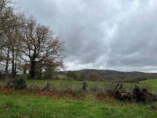  Terrain 500 m� Pampelonne