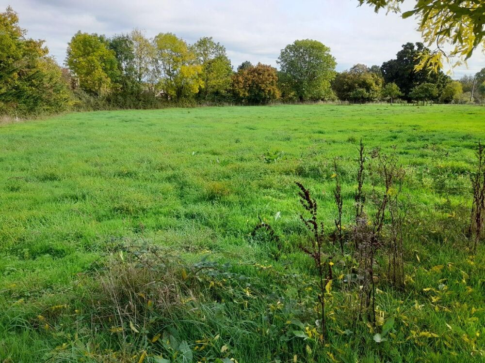 vente Maison - 5 pièce(s) - 100 m² Annebault (14430)